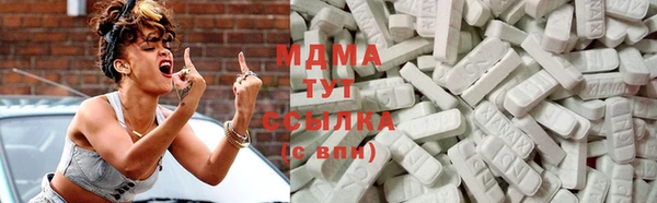 гидра Горняк