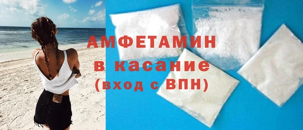 гидра Горняк