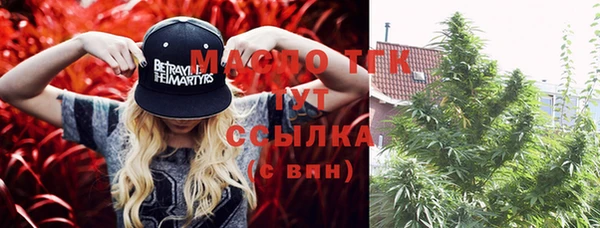 гидра Горняк
