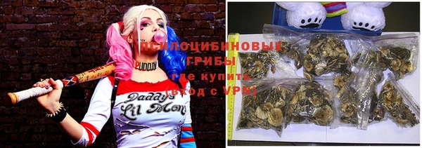 альфа пвп Горнозаводск