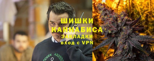 гидра Горняк