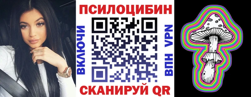 Псилоцибиновые грибы Psilocybine cubensis  Гусев 