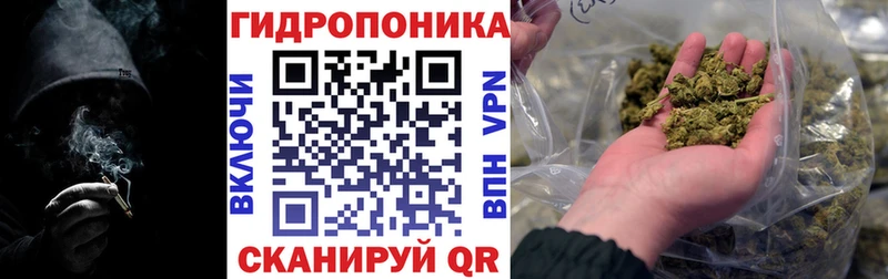продажа наркотиков  Гусев  Канабис индика 